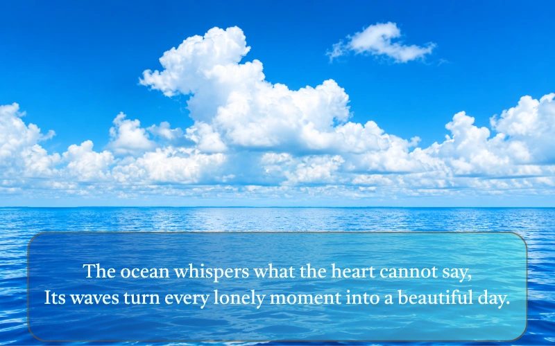 Samandar Shayari In English